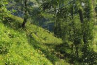 2015-07-01_1Pano-bei-Lacke (458).JPG